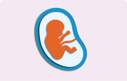 Pregnancy, birth and parenting