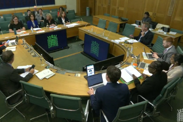 Img_Health and Social Care Select Committee Inquiry on the First 1000 Days