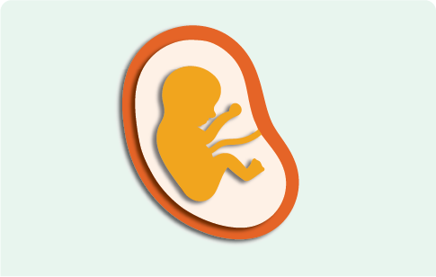 Pregnancy, birth and early parenting